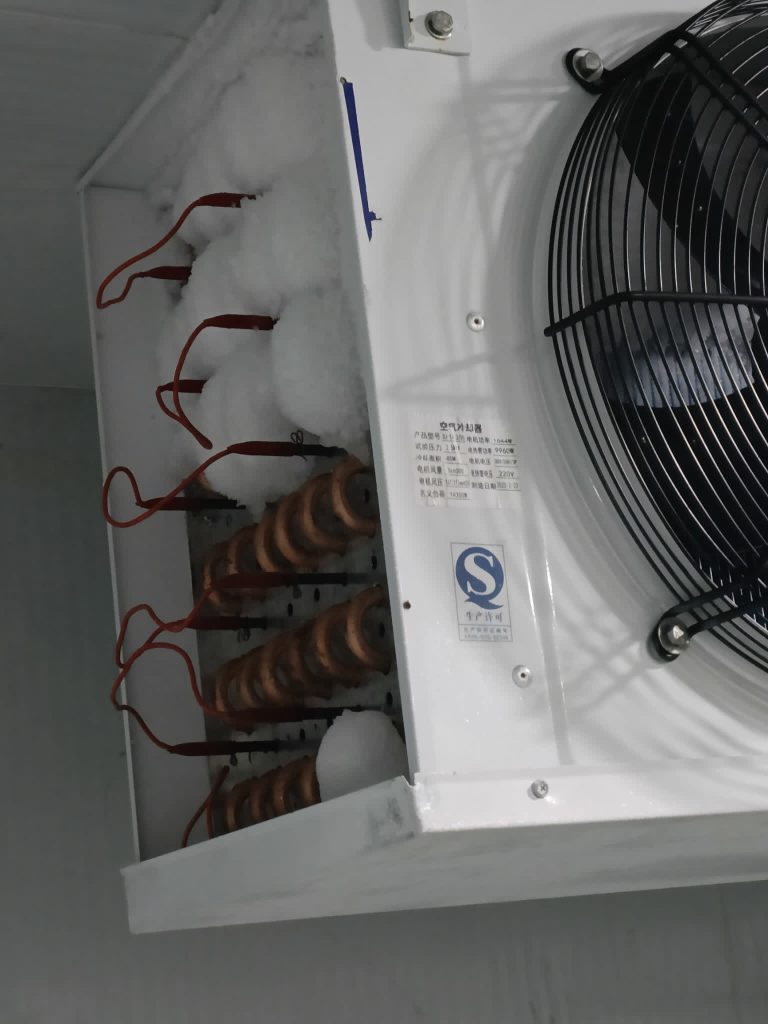 Évaporateur frigorifique givré – intervention de maintenance YOU SERVICES Belgique